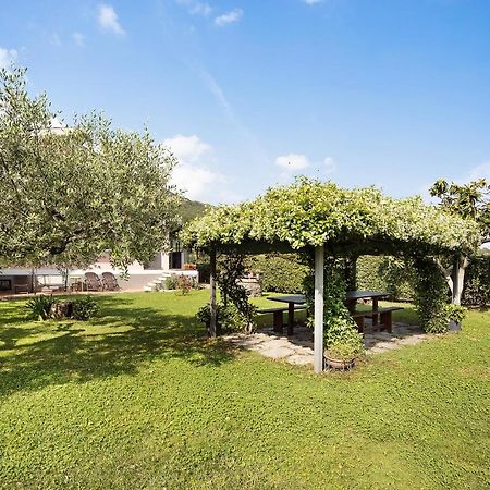 Mansarda Albero Verde Con Piscina Casanova Lerrone ภายนอก รูปภาพ