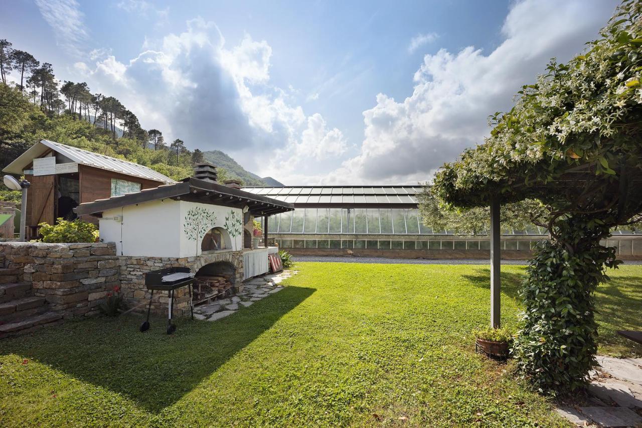 Mansarda Albero Verde Con Piscina Casanova Lerrone ภายนอก รูปภาพ